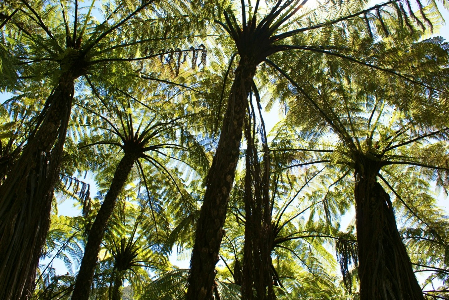 Queen Charlotte Track