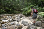 Hiking on Great Barrier Island NZ