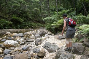 Hiking on Great Barrier Island NZ