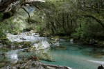 Routeburn track South Island New Zealand