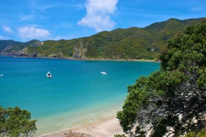 Oke Bay in the Bay of Islands