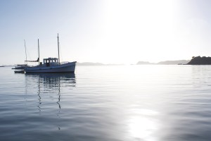 Mahineapua Bay Northland New Zealand