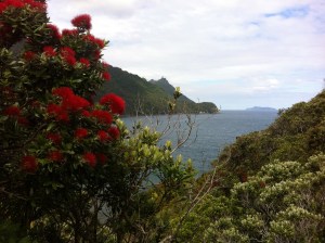 Smugglers Cover Northland New Zealand