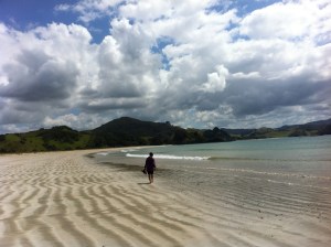 Mimiwhangata Northland New Zealand