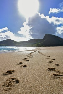 Spirits Bay Northland New zealand