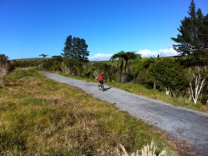 Twin coast cycle trail