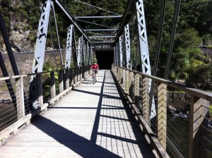 You emerge from the rail tunnel onto an old rail bridge across the Ohinemuri river