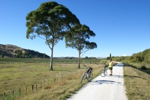 The trail out to Puketapu 20140324-183149.jpg