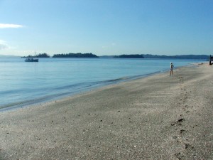 Motuora Island Hauraki Gulf