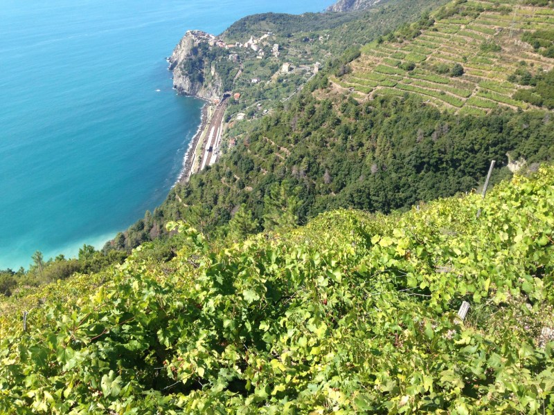 Cinque Terre