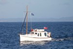 Agnes cruising the Northland Coast