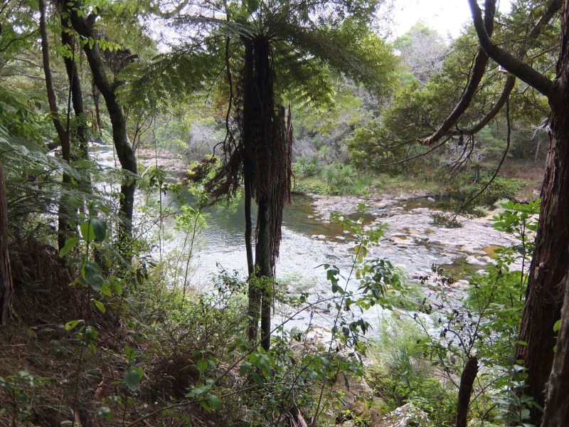 Riverside walk Kerikeri