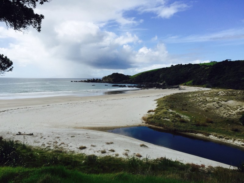 Anchor Bay Tawharanui Regional Park Anchor Bay, Tawharaunui Regional Park