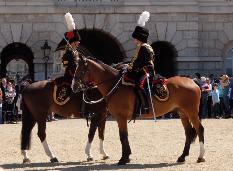 So they trotted up to one another and then spent about 10 minutes swapping gossip