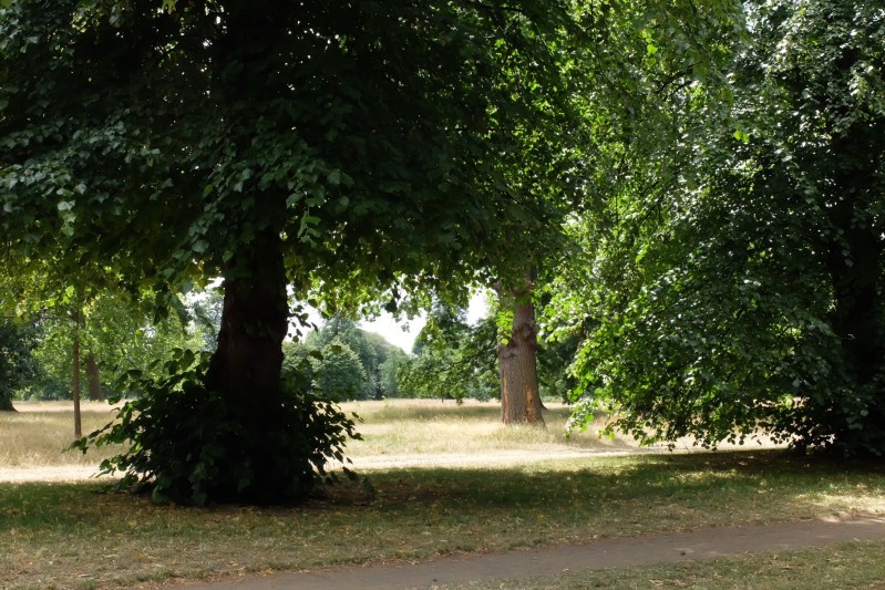 We loved the Parks for their respite from our fellow travellers.