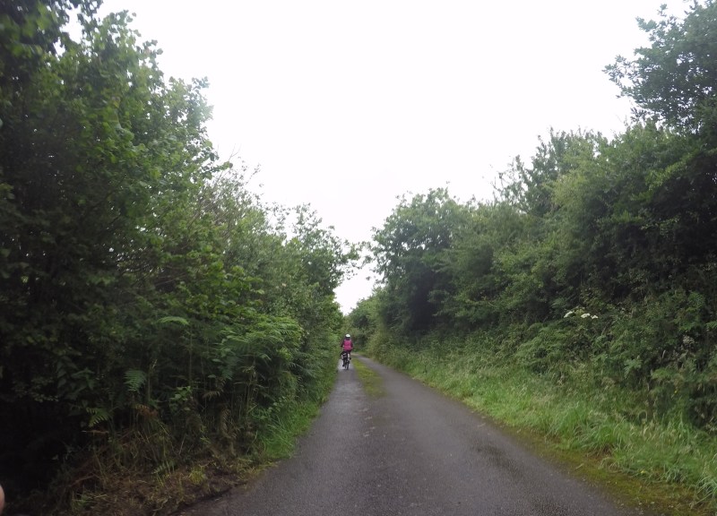 This is the other type of lane we regularly encounter, the blackberries just want to get intimate with you, especially when a car comes along.