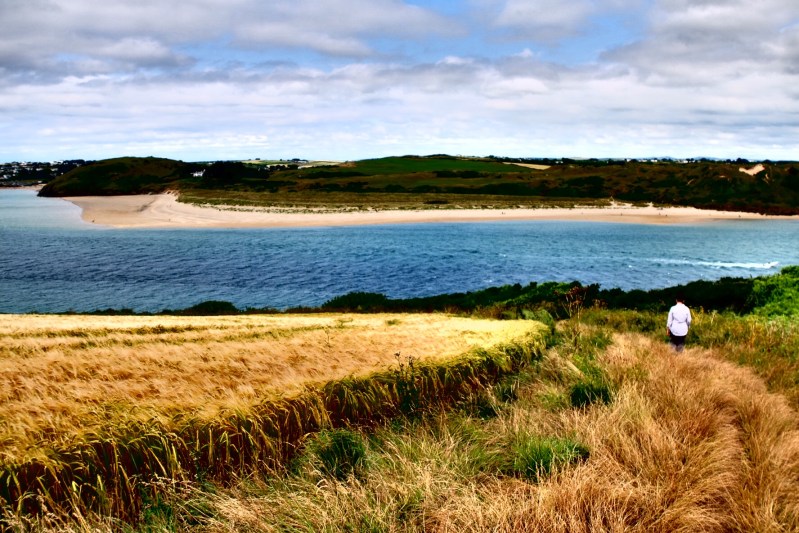 The Camel estuary