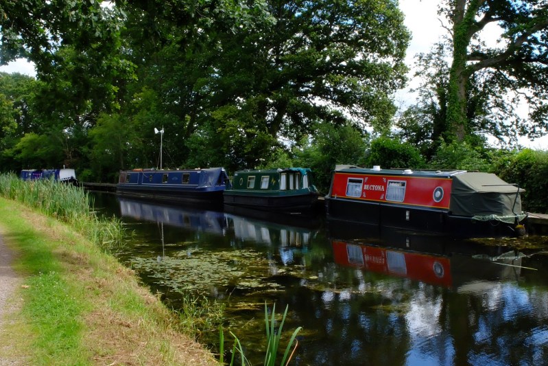 Barges along the Grand Western Canal which we walked from Tiverton. The canal was intended to connect the Bristol channel to the English channel but "grand" turned out to be "expensive" and it was never fully completed.