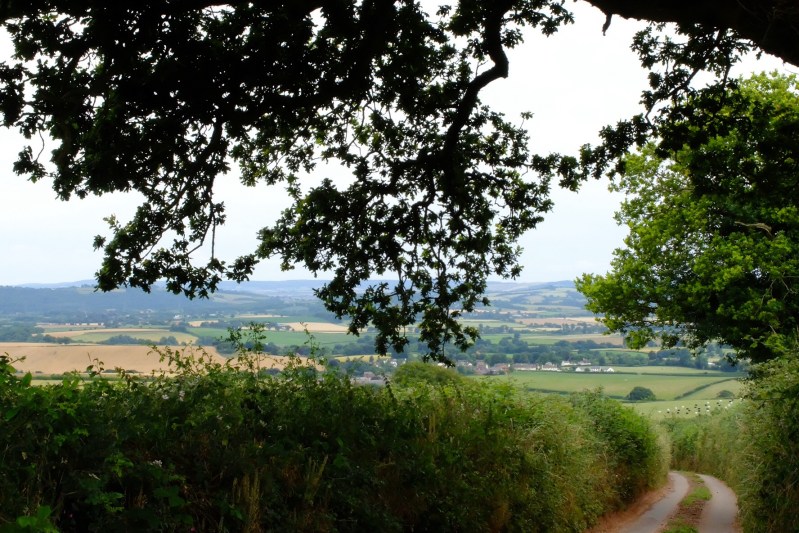 Thorverton viewed from a country lane during one of our strolls