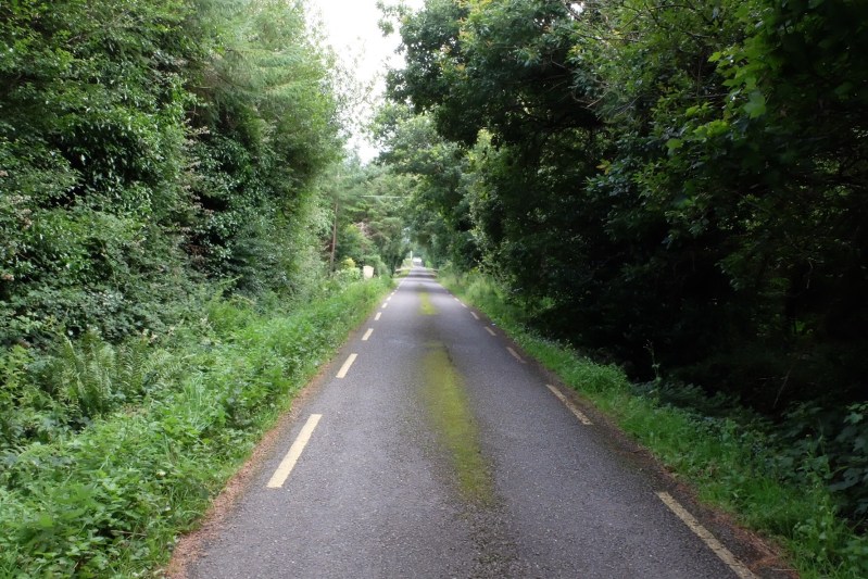 We are back on narrow roads again, the lane leading to our accommodation