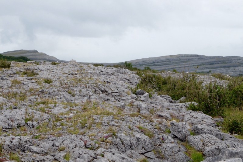 The limestone landscape of The Burren 