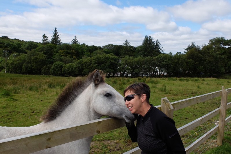 She wanted to bring the foal home - a Connemara Pony - very cute & cuddly
