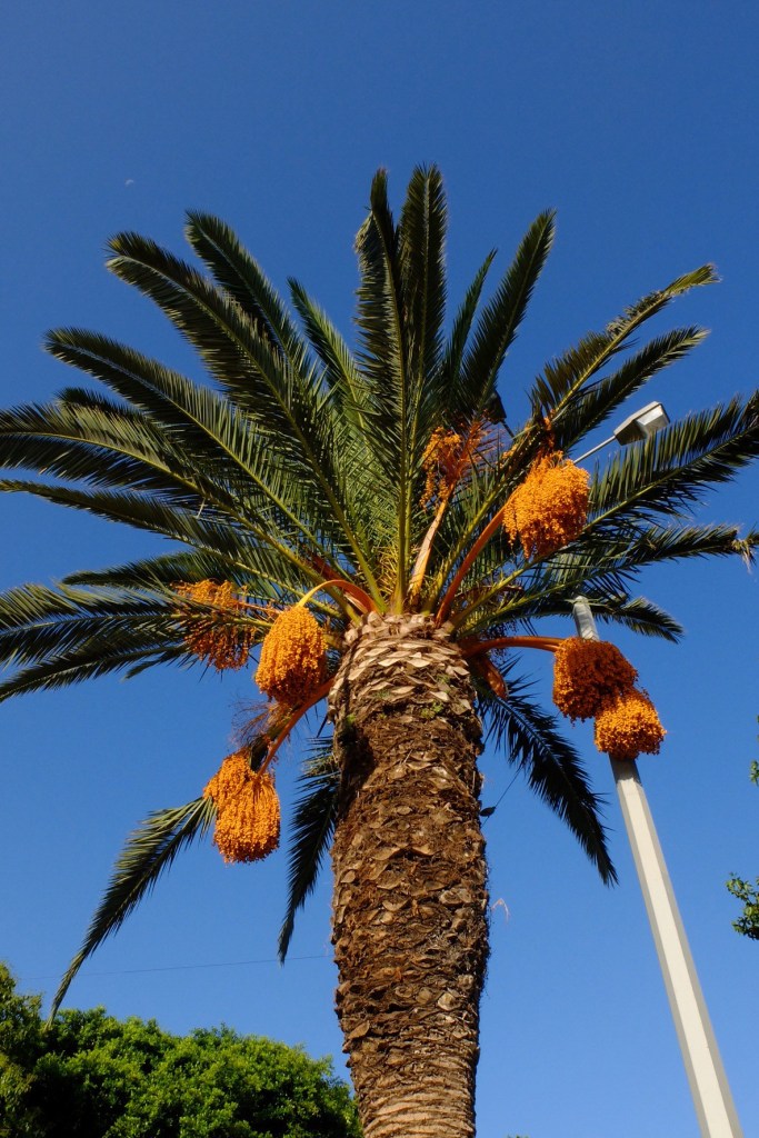 I loved the colours on this - again not touched up.