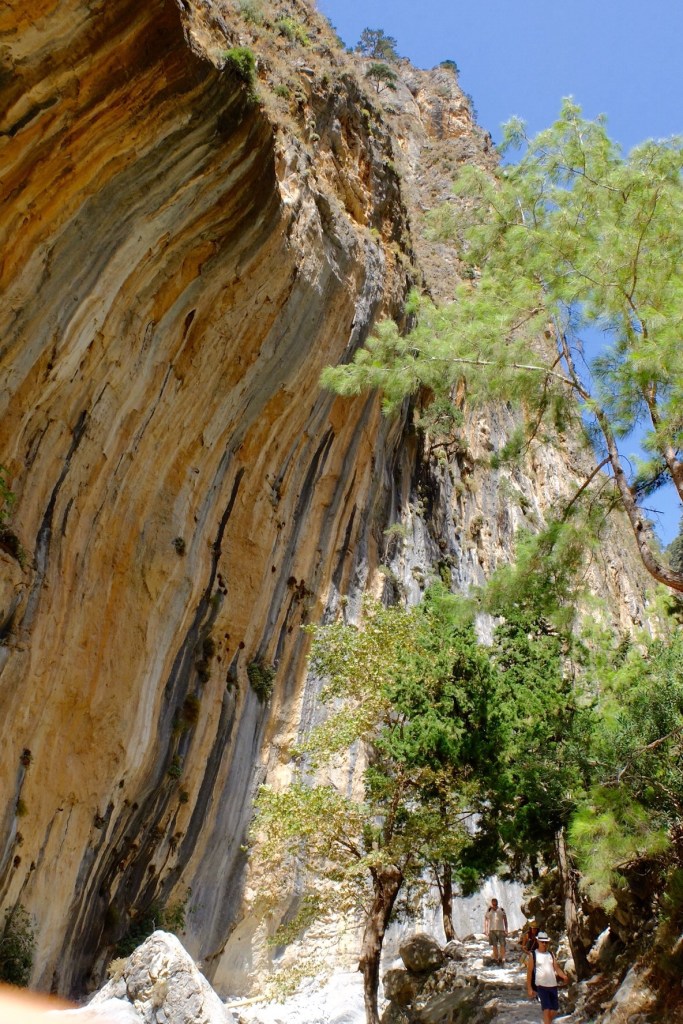The rock faces often shear up from the bottom of the gorge dwarfing the walkers. This one impressed because it overhung the track and also displayed the rust colours that became more prevalent in the lower reaches of the walk.