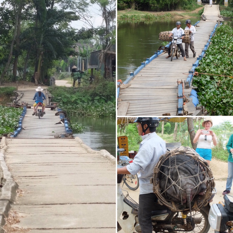 We had to traverse some interesting bridges, this was a floating bridge. Shortly after we crossed, the bike with the basket on the back followed us across, it took a steadying hand from behind to help the driver get the bike off the bridge. His cargo was a live pig in the basket.