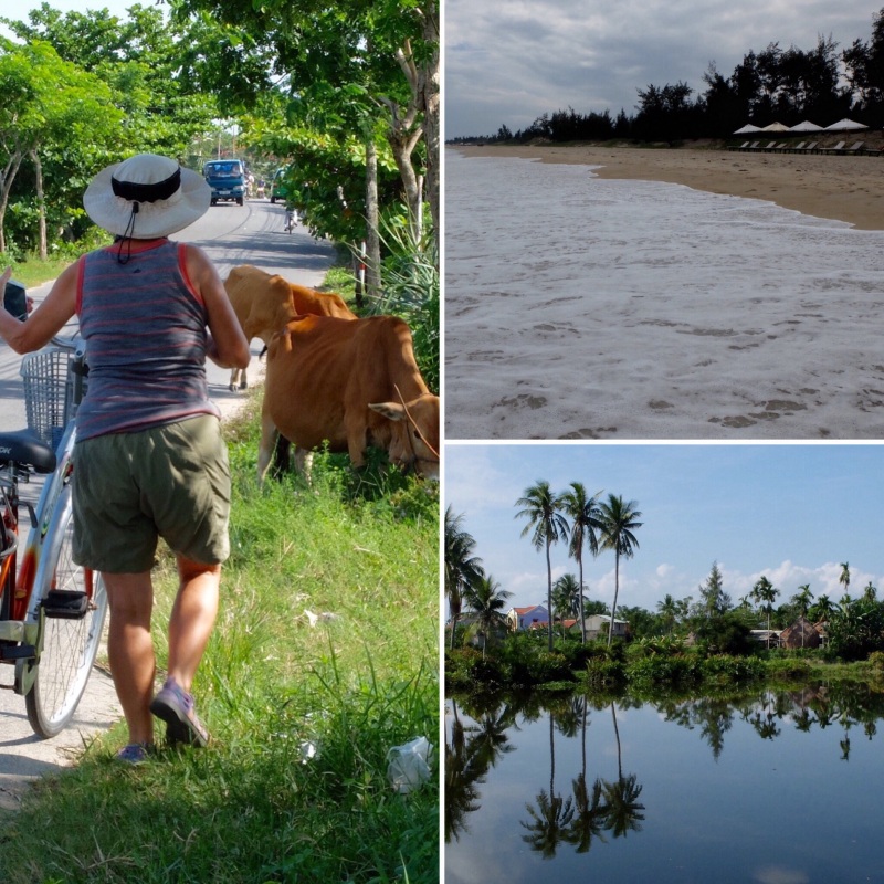 Our warm up cycle took us out to An Bang beach, a pretty ride out and we found a road less travelled coming back which took us through water coconut plantations.