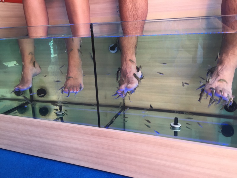 Not a tourist attraction but Ruth could not help but take a picture of people getting fish treatment - you put your legs in the tank and they nibble away all that dead skin. Saw them all through the Greek islands.