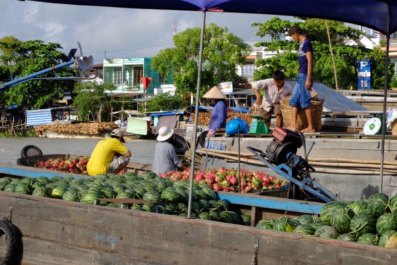 The floating market at Cai Rang is a wholsale market where local farmers bring their produce and local retailed come and purchase it.In this picture there are boat loads of melons and dragon fruit.