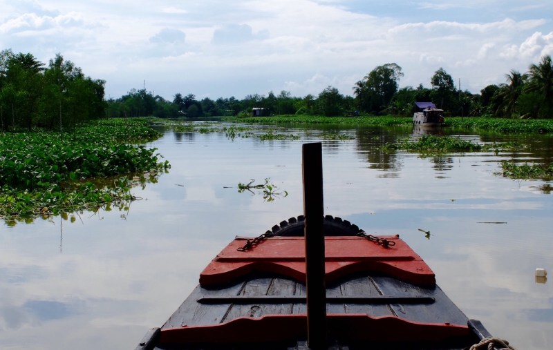 The Mekong Delta is a labrinth of river channels and man made canals, here we cruise through a smaller canal choked with water hyacynth, they dry it and make flip flops (jandals) and hats out of it. 