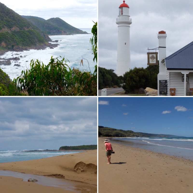The coastline dominated the trip from Torquay to Apollo Bay, after that it becomesmore of a contrast of landscapes with the highlight being the area between Apollo Bay and The Bay of Islands