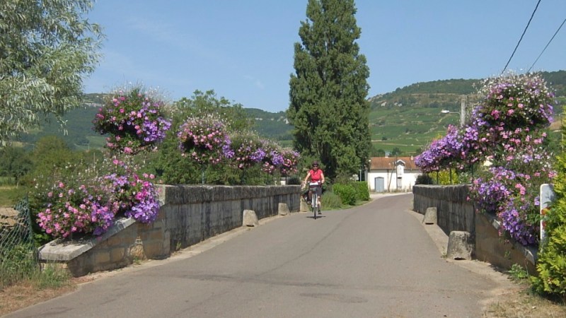 DSCF0146 - Version 2