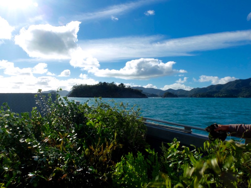 Both plants and humans were buffeted by the self made wind as the barge roared along. The views took your mind off that though.