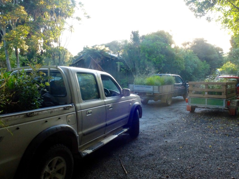 Shadehouse project delivers plants for Project Island Song