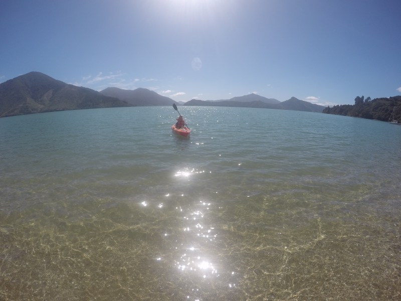 DCIM100GOPROGOPR1042.