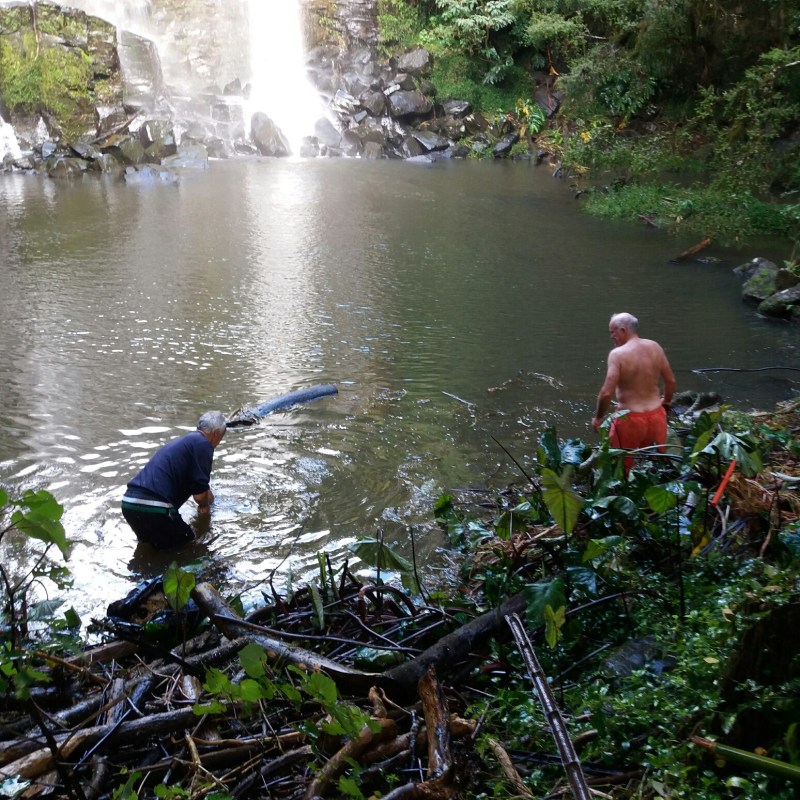 20170327_100600_resized