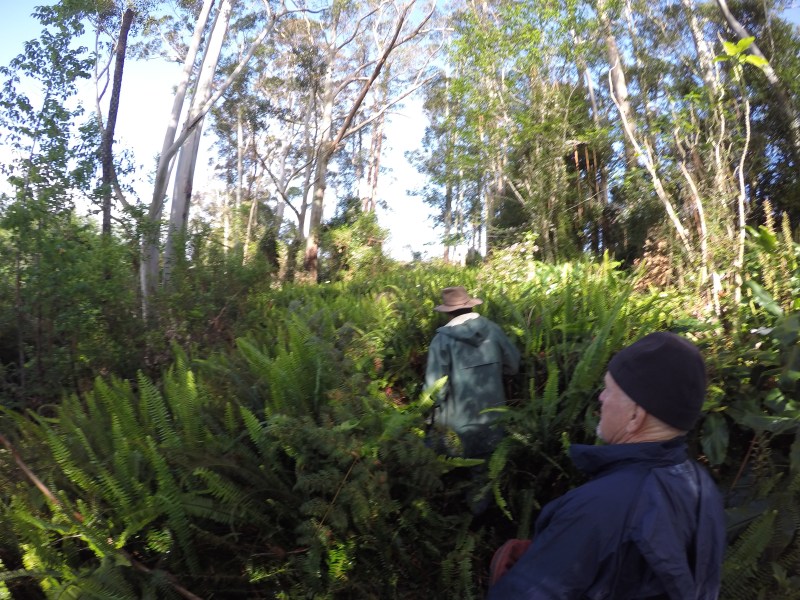 DCIM100GOPROGOPR0781.