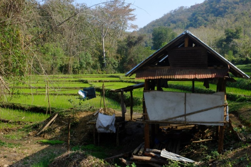 UNADJUSTEDNONRAW_thumb_1024c