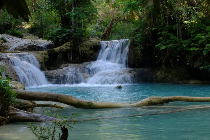 UNADJUSTEDNONRAW_thumb_10260