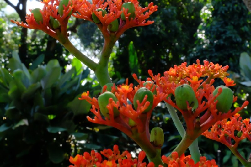 UNADJUSTEDNONRAW_thumb_102f1