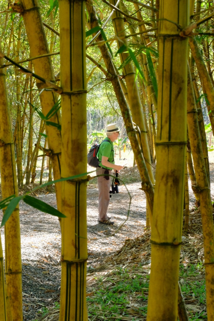 UNADJUSTEDNONRAW_thumb_1030d