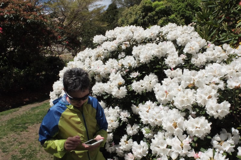 2281BAF0-44A8-425A-871E-301A38FB30ED