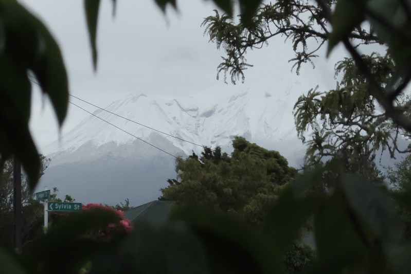 3EB0C9F8-AECC-426E-A49C-017B90F54188