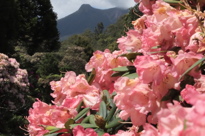 82484382-31E7-464E-BAED-BE784DF808E6