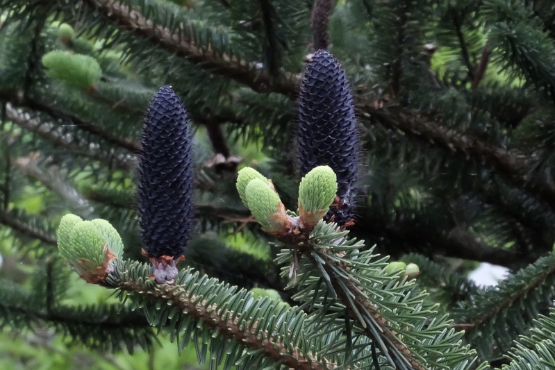 88FCD6A3-E459-448E-9B7D-88553BDAA9AA