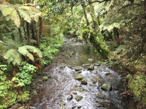 King Edward Park, Stratford