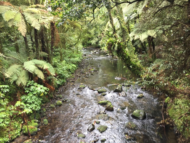 King Edward Park, Stratford